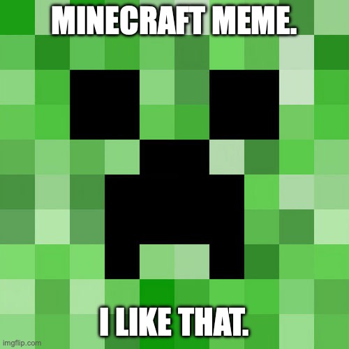 Scumbag Minecraft Meme | MINECRAFT MEME. I LIKE THAT. | image tagged in memes,scumbag minecraft | made w/ Imgflip meme maker