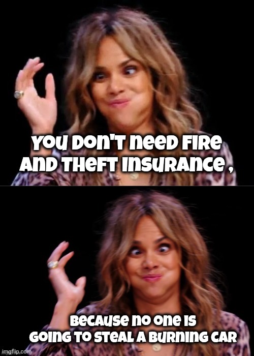 Lovely Halle Berry | You don't need Fire and Theft Insurance , because no one is going to steal a burning car | image tagged in lovely halle berry | made w/ Imgflip meme maker