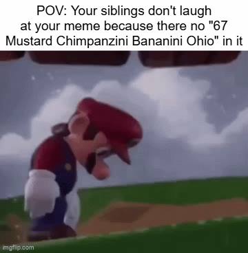 The humor of future genteations is cooked | POV: Your siblings don't laugh at your meme because there no "67 Mustard Chimpanzini Bananini Ohio" in it | image tagged in gifs,memes,sad,gen alpha | made w/ Imgflip video-to-gif maker