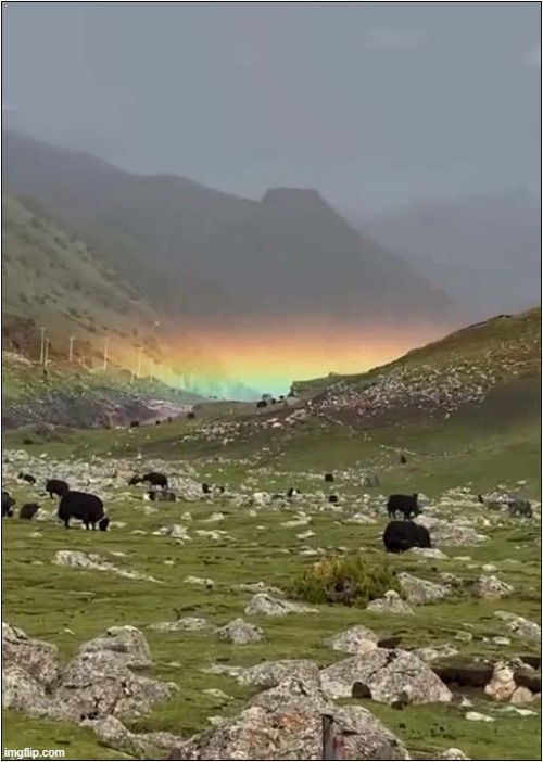 A Ground Rainbow | image tagged in rainbow,valley | made w/ Imgflip meme maker