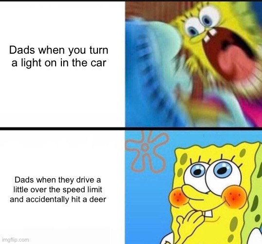 Duality of Dad | Dads when you turn a light on in the car; Dads when they drive a little over the speed limit and accidentally hit a deer | image tagged in spongebob yelling | made w/ Imgflip meme maker