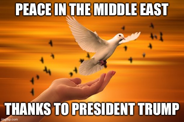 Peace in the Middle East | PEACE IN THE MIDDLE EAST; THANKS TO PRESIDENT TRUMP | image tagged in dove of peace | made w/ Imgflip meme maker