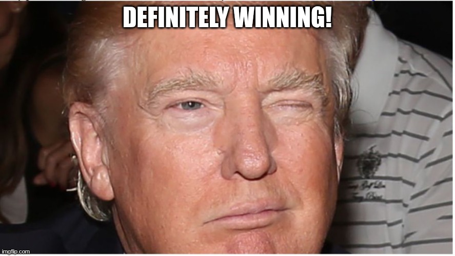 Trump Wink | DEFINITELY WINNING! | image tagged in trump wink | made w/ Imgflip meme maker