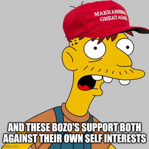cletus | AND THESE BOZO'S SUPPORT BOTH AGAINST THEIR OWN SELF INTERESTS | image tagged in cletus | made w/ Imgflip meme maker