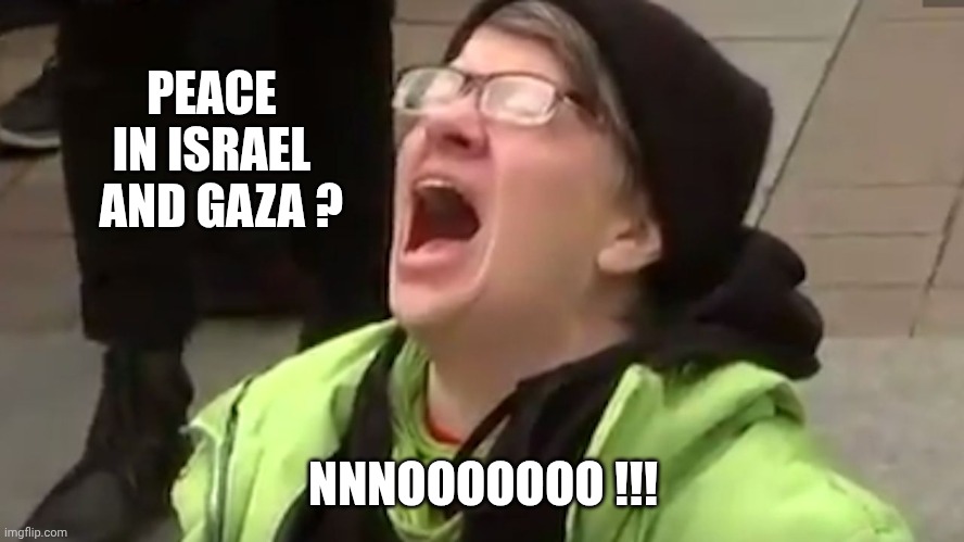 Screaming Liberal  | PEACE
 IN ISRAEL 
  AND GAZA ? NNNOOOOOOO !!! | image tagged in screaming liberal | made w/ Imgflip meme maker