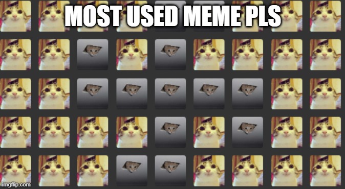 CATSTIKA | MOST USED MEME PLS | image tagged in catstika | made w/ Imgflip meme maker