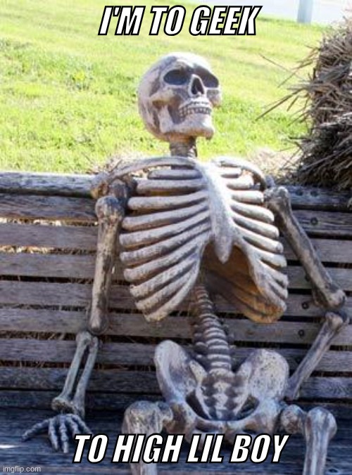 I'm geek | I'M TO GEEK; TO HIGH LIL BOY | image tagged in memes,waiting skeleton | made w/ Imgflip meme maker