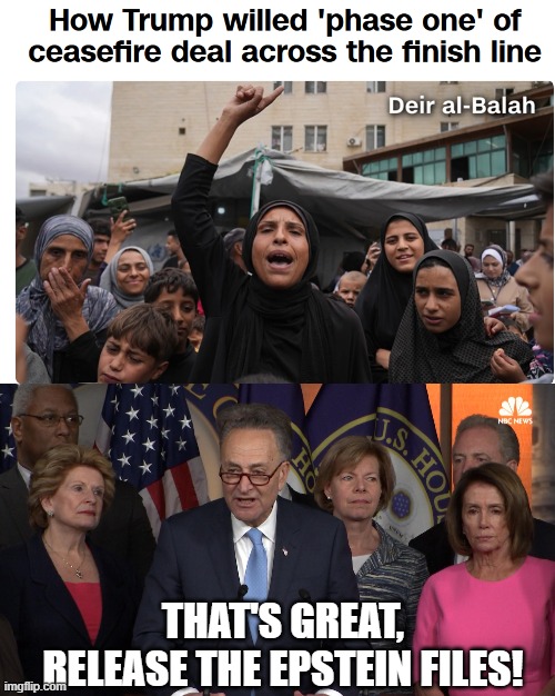 Does Something Good, Still Whine | THAT'S GREAT, RELEASE THE EPSTEIN FILES! | image tagged in democrat congressmen | made w/ Imgflip meme maker