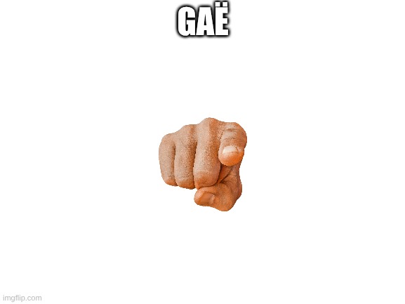 gaë (Ada: nordic homosexuals be like) | GAË | image tagged in blank white template,ha gay | made w/ Imgflip meme maker