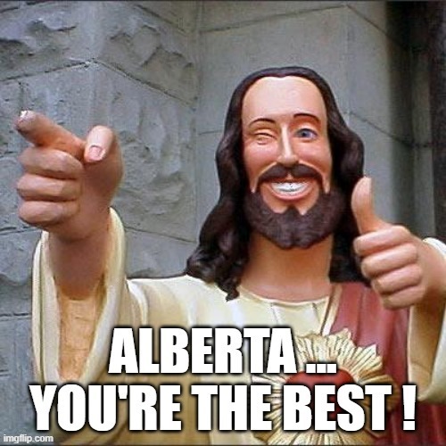 canadian politics | image tagged in political meme | made w/ Imgflip meme maker