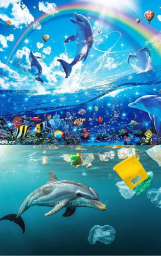 Expectation vs Reality Lisa Frank Symphony Dolphin Blank Meme Template