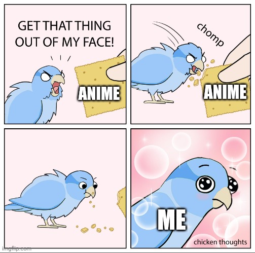 Bird Cracker | ANIME; ANIME; ME | image tagged in bird cracker | made w/ Imgflip meme maker