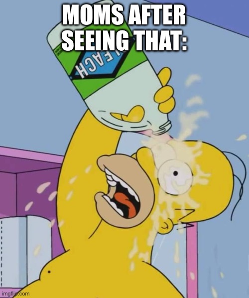 Homer with bleach | MOMS AFTER SEEING THAT: | image tagged in homer with bleach | made w/ Imgflip meme maker
