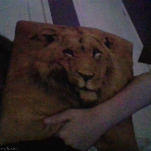 pillow reveal | made w/ Imgflip meme maker