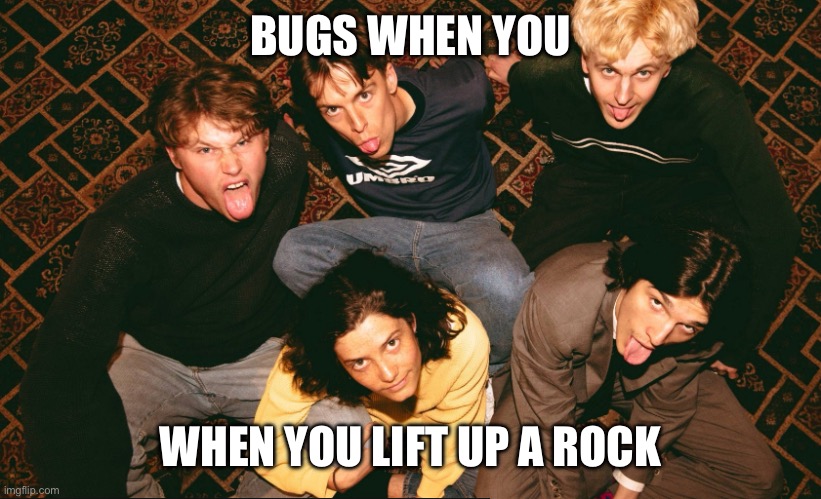 Wellayyy | BUGS WHEN YOU; WHEN YOU LIFT UP A ROCK | image tagged in music,indie,british,silly | made w/ Imgflip meme maker