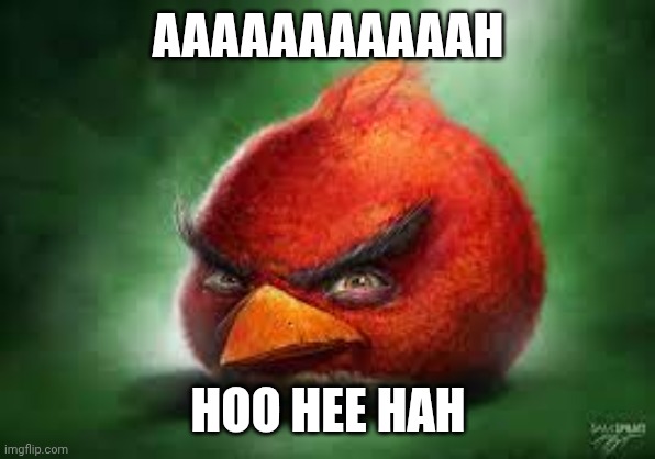 Red's message | AAAAAAAAAAAH; HOO HEE HAH | image tagged in realistic red angry birds | made w/ Imgflip meme maker