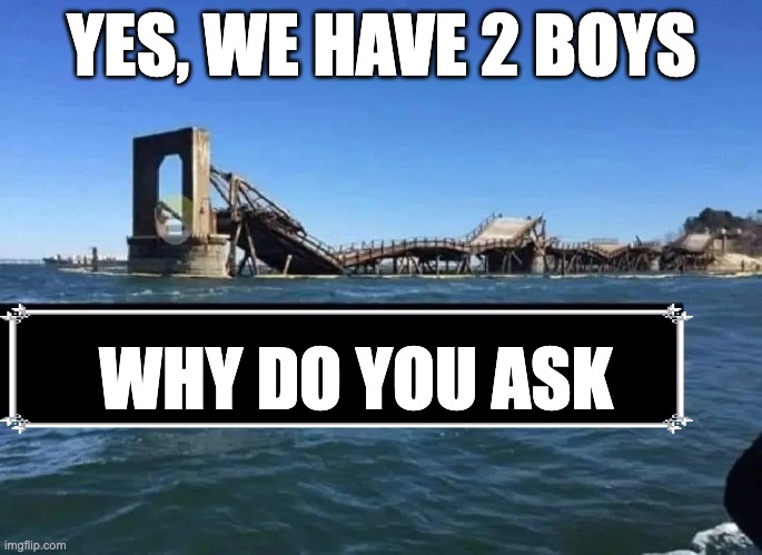 YES, WE HAVE 2 BOYS; WHY DO YOU ASK | image tagged in boys | made w/ Imgflip meme maker