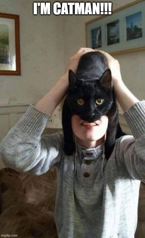 Catman | I'M CATMAN!!! | image tagged in cats | made w/ Imgflip meme maker