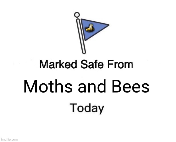 Marked Safe From | 🐝; Moths and Bees | image tagged in memes,bees,moths | made w/ Imgflip meme maker