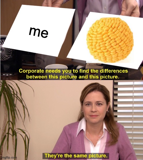 They're The Same Picture | me | image tagged in memes,they're the same picture,self-deprecation | made w/ Imgflip meme maker