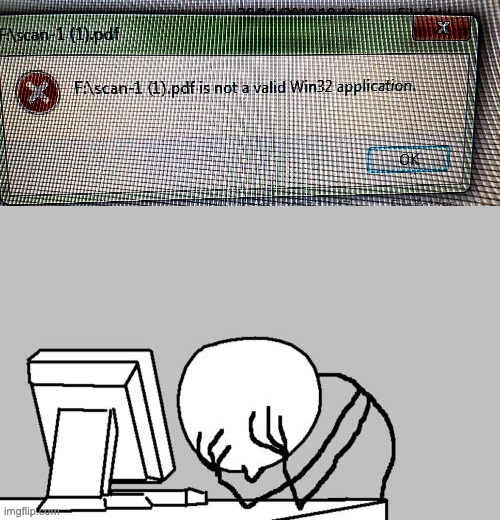look at the file's extension name. does it look like a "win32 application" to you? | image tagged in memes,computer guy facepalm,task failed successfully,you had one job,you're doing it wrong | made w/ Imgflip meme maker
