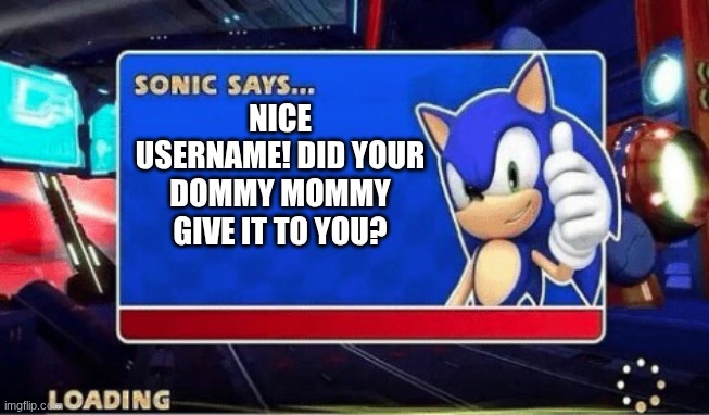 Sonic Says | NICE USERNAME! DID YOUR DOMMY MOMMY GIVE IT TO YOU? | image tagged in sonic says | made w/ Imgflip meme maker