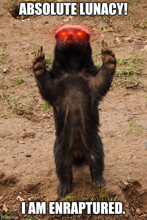 Honey Badger | ABSOLUTE LUNACY! I AM ENRAPTURED. | image tagged in honey badger | made w/ Imgflip meme maker