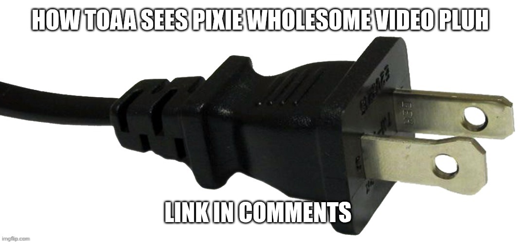 plug | HOW TOAA SEES PIXIE WHOLESOME VIDEO PLUH; LINK IN COMMENTS | image tagged in plug | made w/ Imgflip meme maker