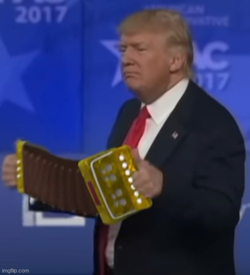 image tagged in donald trump,trump,president trump,accordian | made w/ Imgflip meme maker