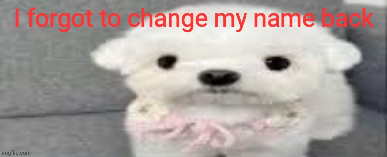 Dog stating | I forgot to change my name back | image tagged in dog stating | made w/ Imgflip meme maker