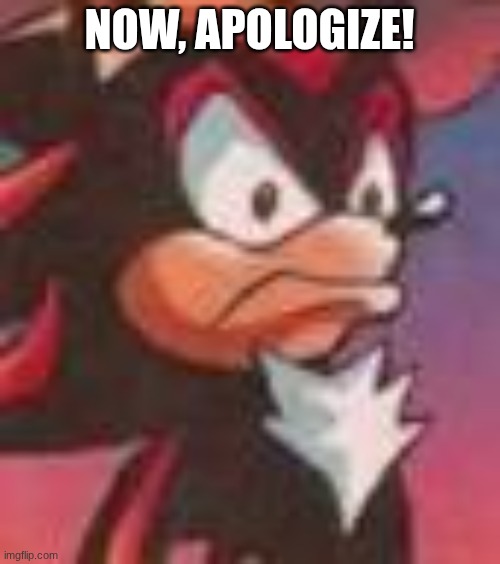 Shadow the Hedgehog | NOW, APOLOGIZE! | image tagged in shadow the hedgehog | made w/ Imgflip meme maker