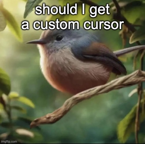 No balls | should I get a custom cursor | image tagged in no balls | made w/ Imgflip meme maker