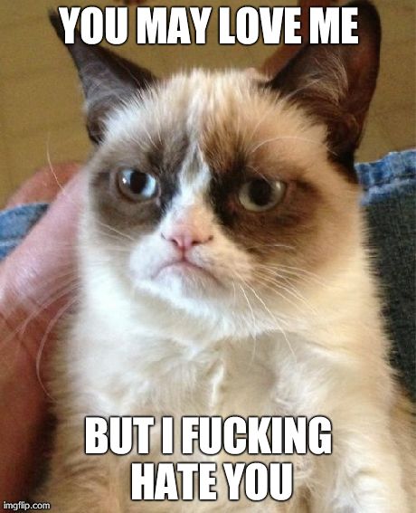 Grumpy Cat Meme | YOU MAY LOVE ME BUT I F**KING HATE YOU | image tagged in memes,grumpy cat | made w/ Imgflip meme maker