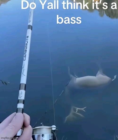 Is this a rock bass? | image tagged in memes,fishing | made w/ Imgflip meme maker