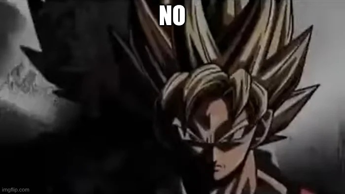 Goku Staring | NO | image tagged in goku staring | made w/ Imgflip meme maker