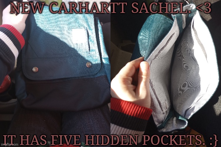 I Love This <333 XDDD | NEW CARHARTT SACHEL. <3; IT HAS FIVE HIDDEN POCKETS. :} | image tagged in sachel,major win,i love this,it has fucking pockets,my purse doesnt have that many,fuck yeah bish | made w/ Imgflip meme maker