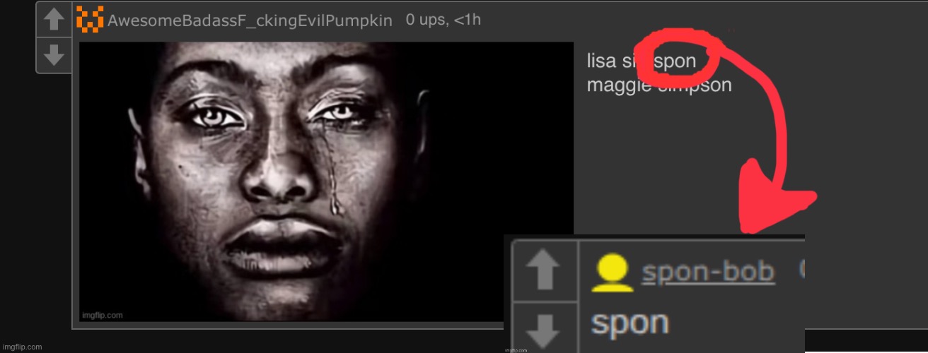 made w/ Imgflip meme maker