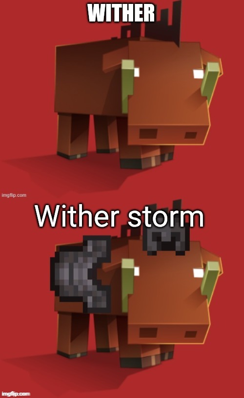 True | WITHER; Wither storm | image tagged in funny,minecraft | made w/ Imgflip meme maker