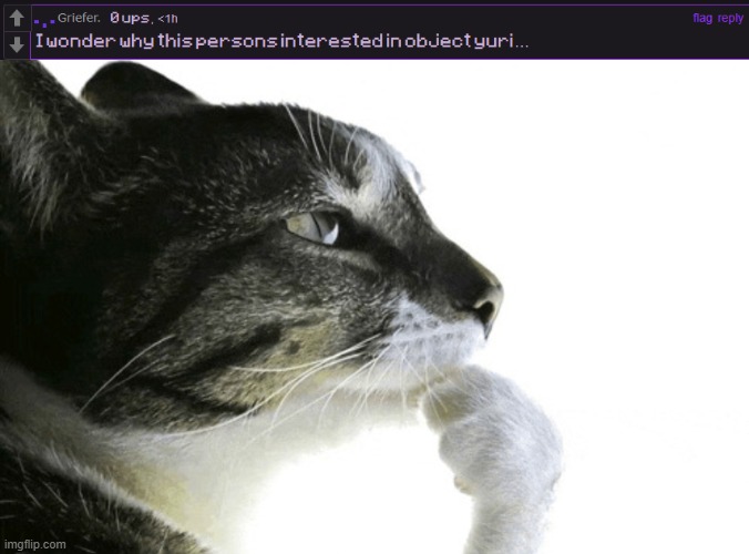 hm.... i wonder... | image tagged in cat pondering cat meme | made w/ Imgflip meme maker