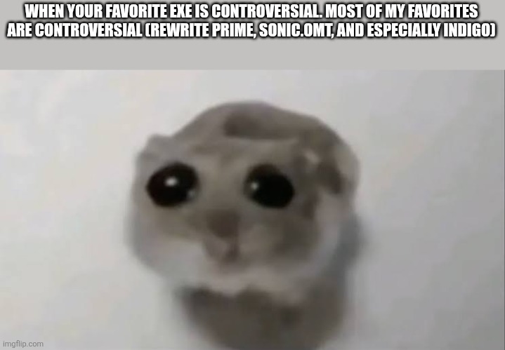 When your favorite EXE is controversial | WHEN YOUR FAVORITE EXE IS CONTROVERSIAL. MOST OF MY FAVORITES ARE CONTROVERSIAL (REWRITE PRIME, SONIC.OMT, AND ESPECIALLY INDIGO) | image tagged in sad hamster | made w/ Imgflip meme maker