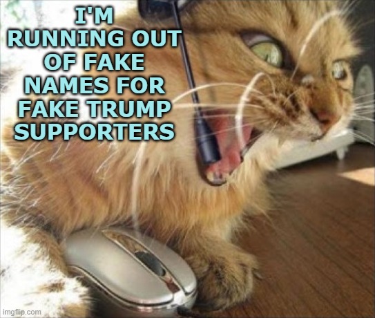 I'M RUNNING OUT OF FAKE NAMES FOR FAKE TRUMP SUPPORTERS | made w/ Imgflip meme maker