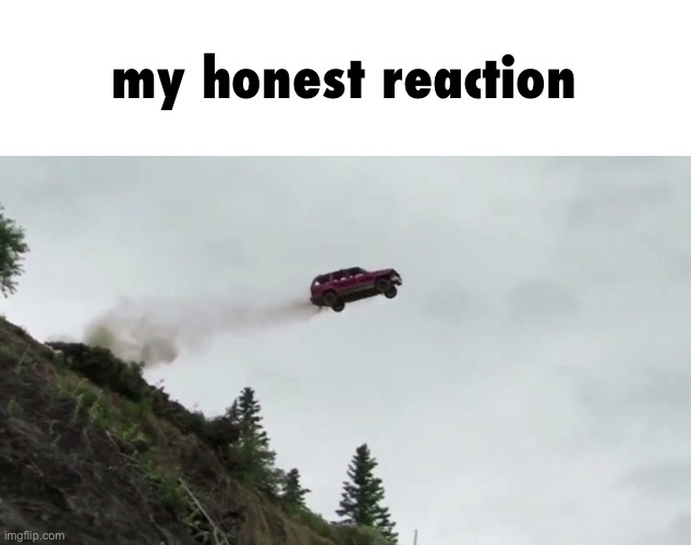 Car Driving Off Cliff | my honest reaction | image tagged in car driving off cliff | made w/ Imgflip meme maker