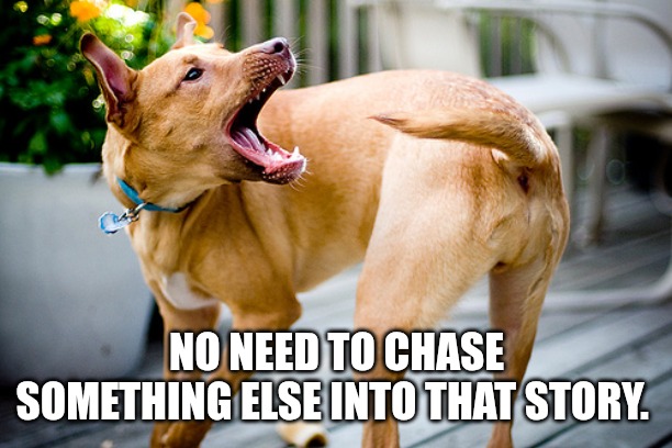 Dog chasing tail | NO NEED TO CHASE SOMETHING ELSE INTO THAT STORY. | image tagged in dog chasing tail | made w/ Imgflip meme maker