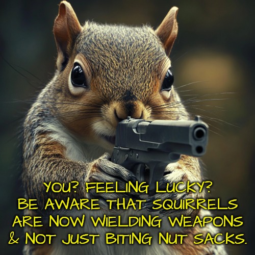Squirrel Awareness Month: the truth #3 | YOU? FEELING LUCKY? BE AWARE THAT SQUIRRELS ARE NOW WIELDING WEAPONS & NOT JUST BITING NUT SACKS. | image tagged in gun squirrel,watch out dangerous squirrels | made w/ Imgflip meme maker