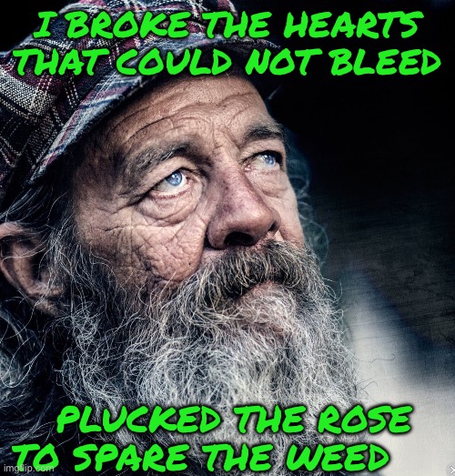 I BROKE THE HEARTS THAT COULD NOT BLEED; PLUCKED THE ROSE TO SPARE THE WEED | image tagged in homeless | made w/ Imgflip meme maker