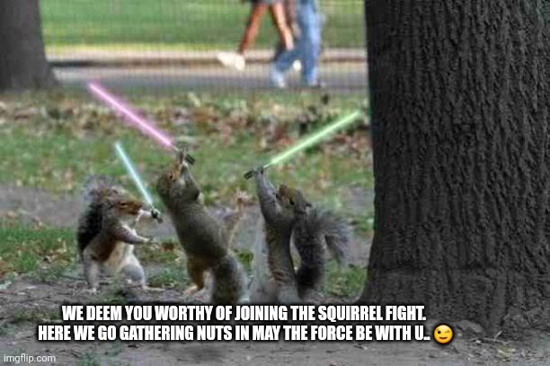 Jedi Squirrels | WE DEEM YOU WORTHY OF JOINING THE SQUIRREL FIGHT.  HERE WE GO GATHERING NUTS IN MAY THE FORCE BE WITH U.. ? | image tagged in jedi squirrels | made w/ Imgflip meme maker