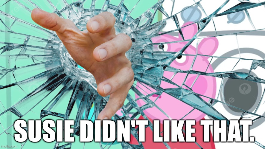 SUSIE DIDN'T LIKE THAT. | made w/ Imgflip meme maker