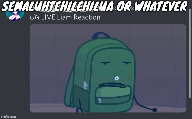 UN LIVE Liam reaction | SEMALUHTEHILEHILUA OR WHATEVER | image tagged in un live liam reaction | made w/ Imgflip meme maker