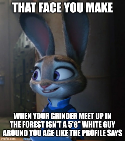 Judy Hopps fake smile | THAT FACE YOU MAKE; WHEN YOUR GRINDER MEET UP IN THE FOREST ISN'T A 5'8" WHITE GUY AROUND YOU AGE LIKE THE PROFILE SAYS | image tagged in judy hopps fake smile | made w/ Imgflip meme maker