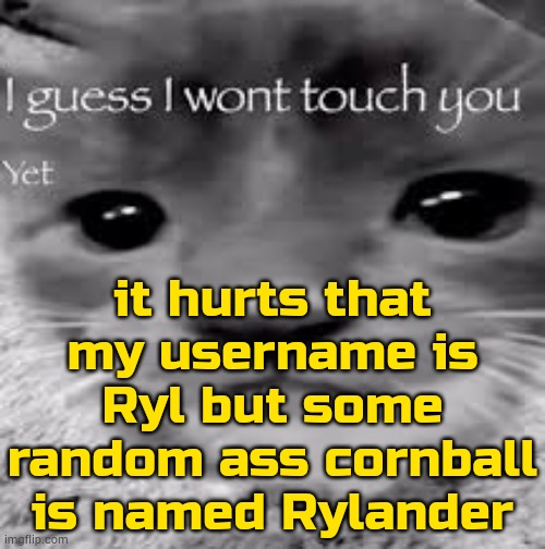 i also heard of Rylocat but idk him much | it hurts that my username is Ryl but some random ass cornball is named Rylander | image tagged in i guess i won't touch you | made w/ Imgflip meme maker